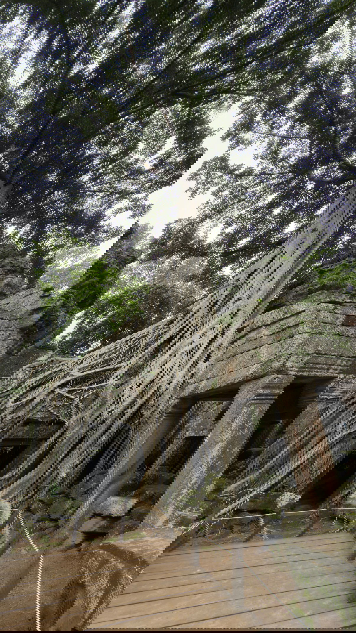 kesemgreenyer instagram image archive image