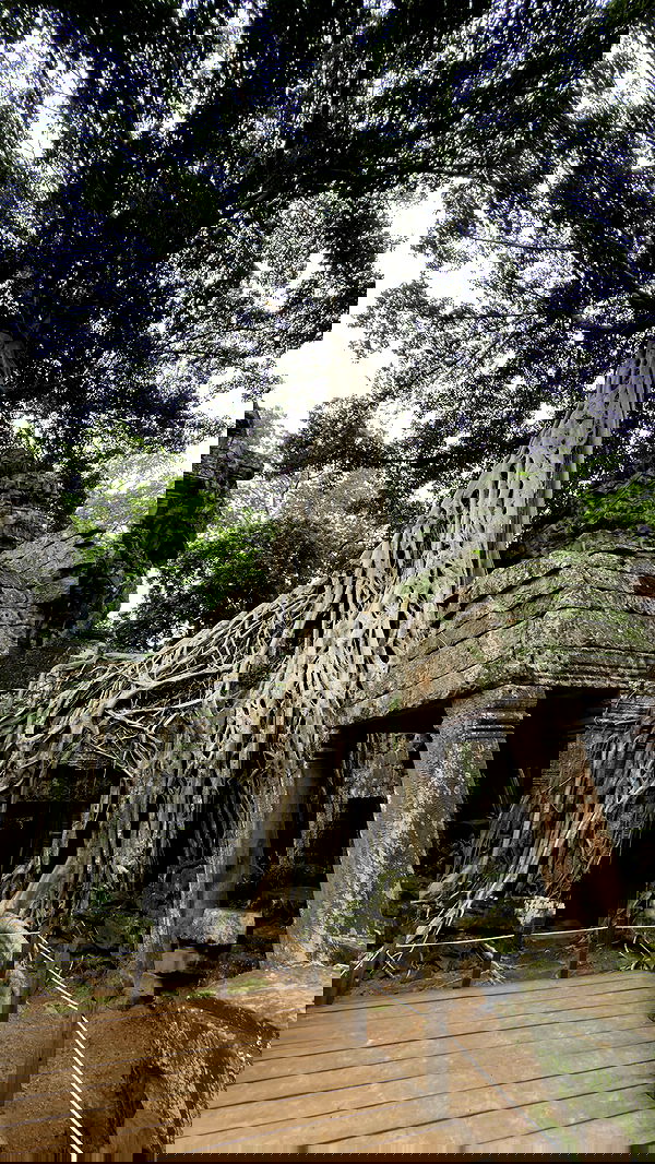 kesemgreenyer image ~ Altpins