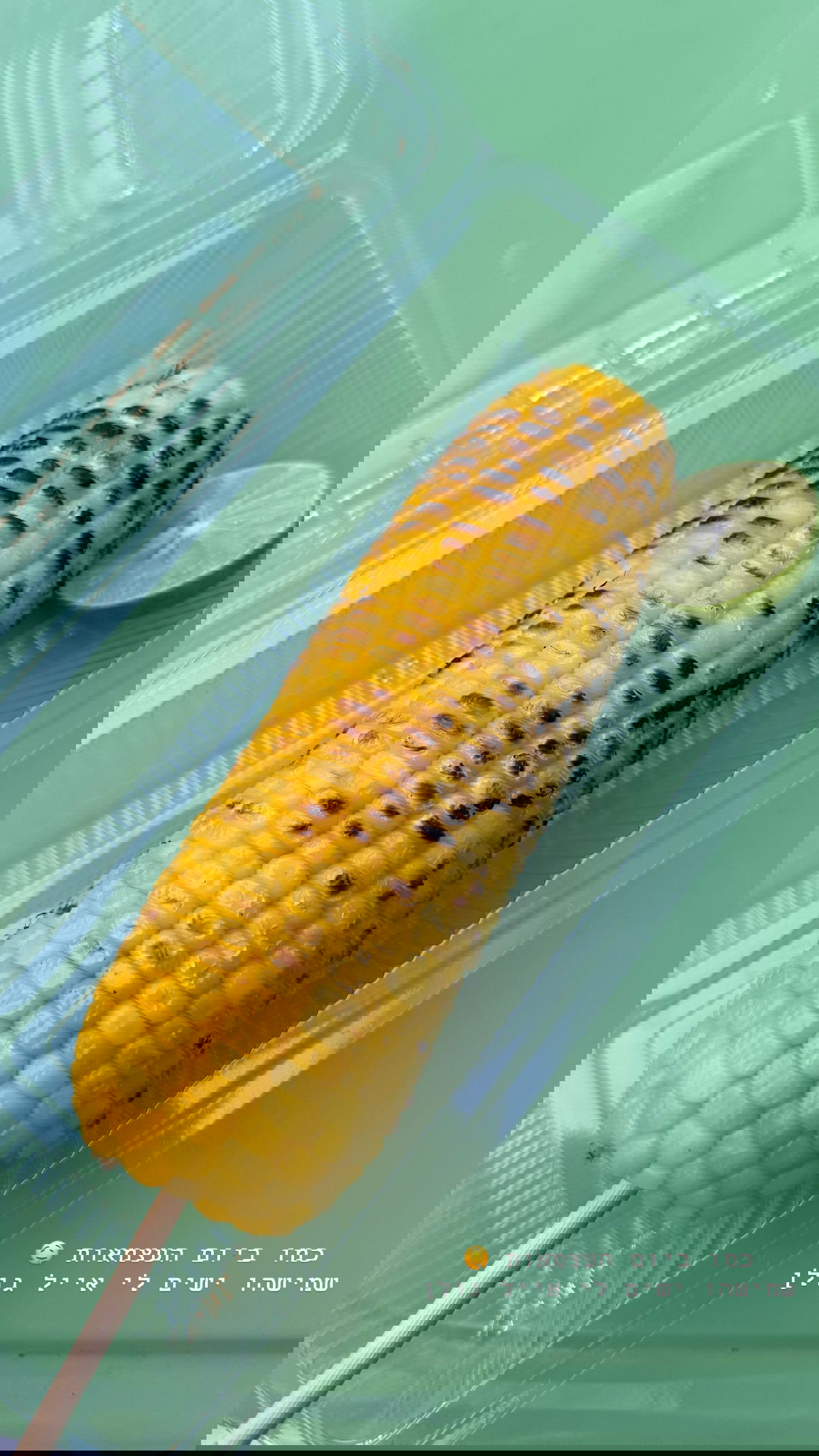 kesemgreenyer instagram image archive image