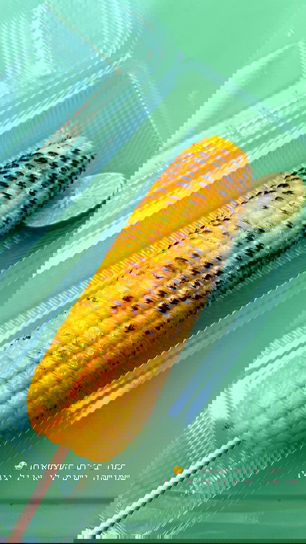 kesemgreenyer image ~ Altpins