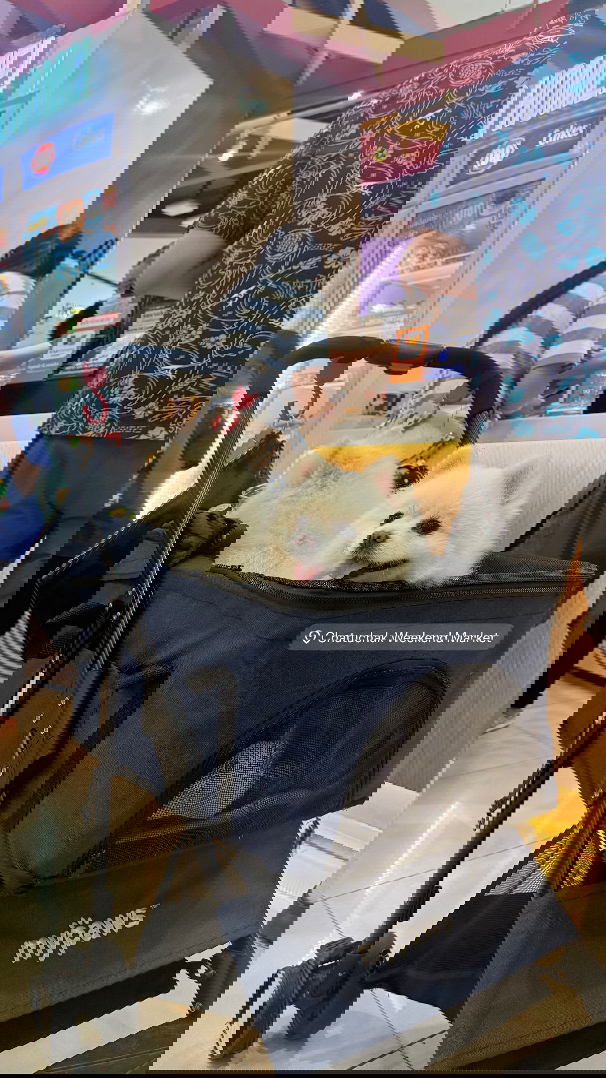 kesemgreenyer instagram image archive image