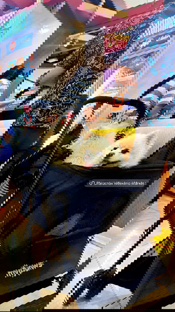 kesemgreenyer image ~ Altpins