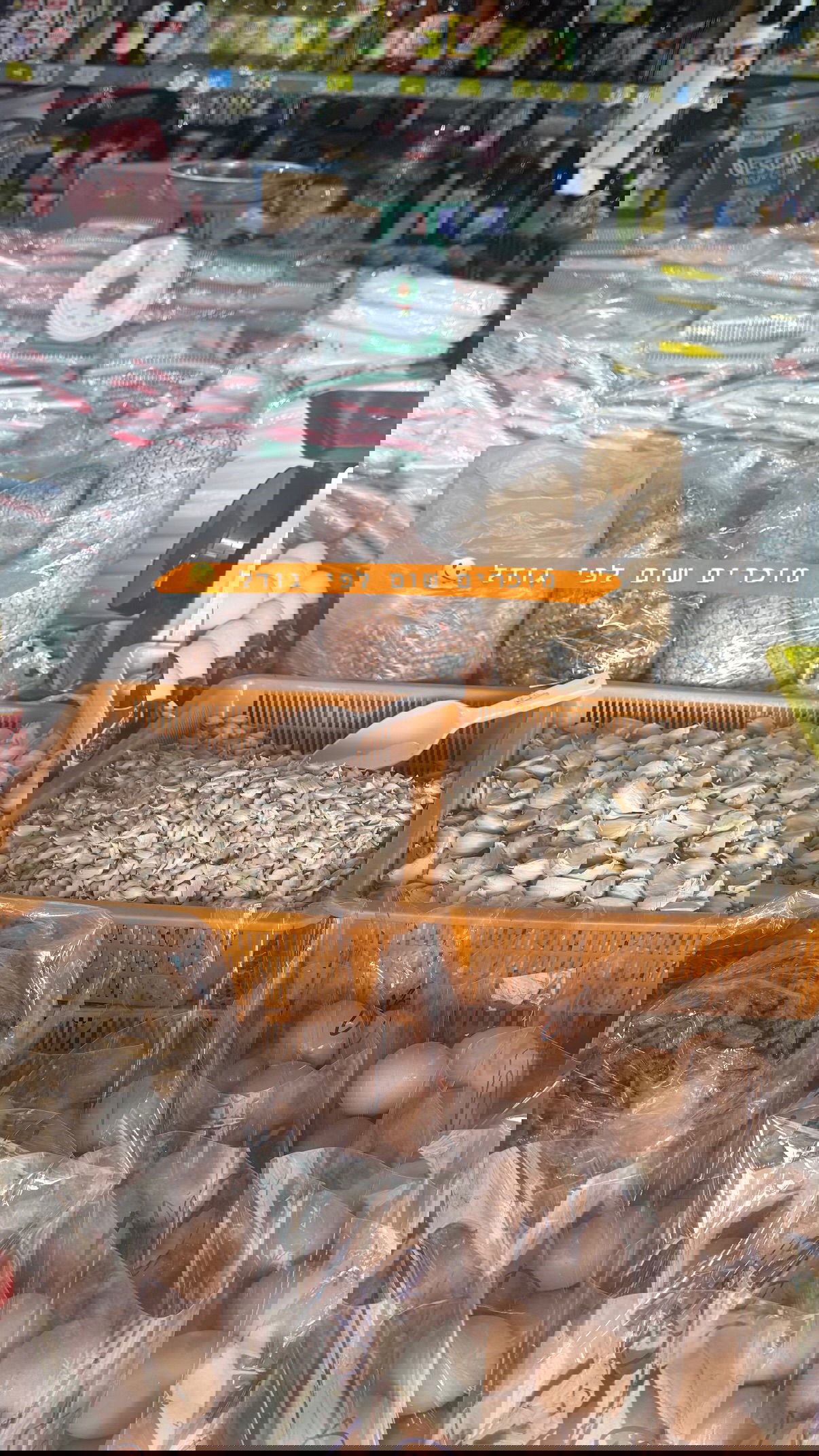 kesemgreenyer instagram image archive image