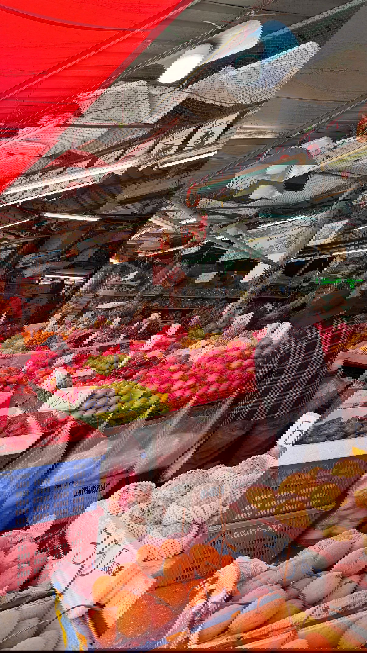 kesemgreenyer instagram image archive image