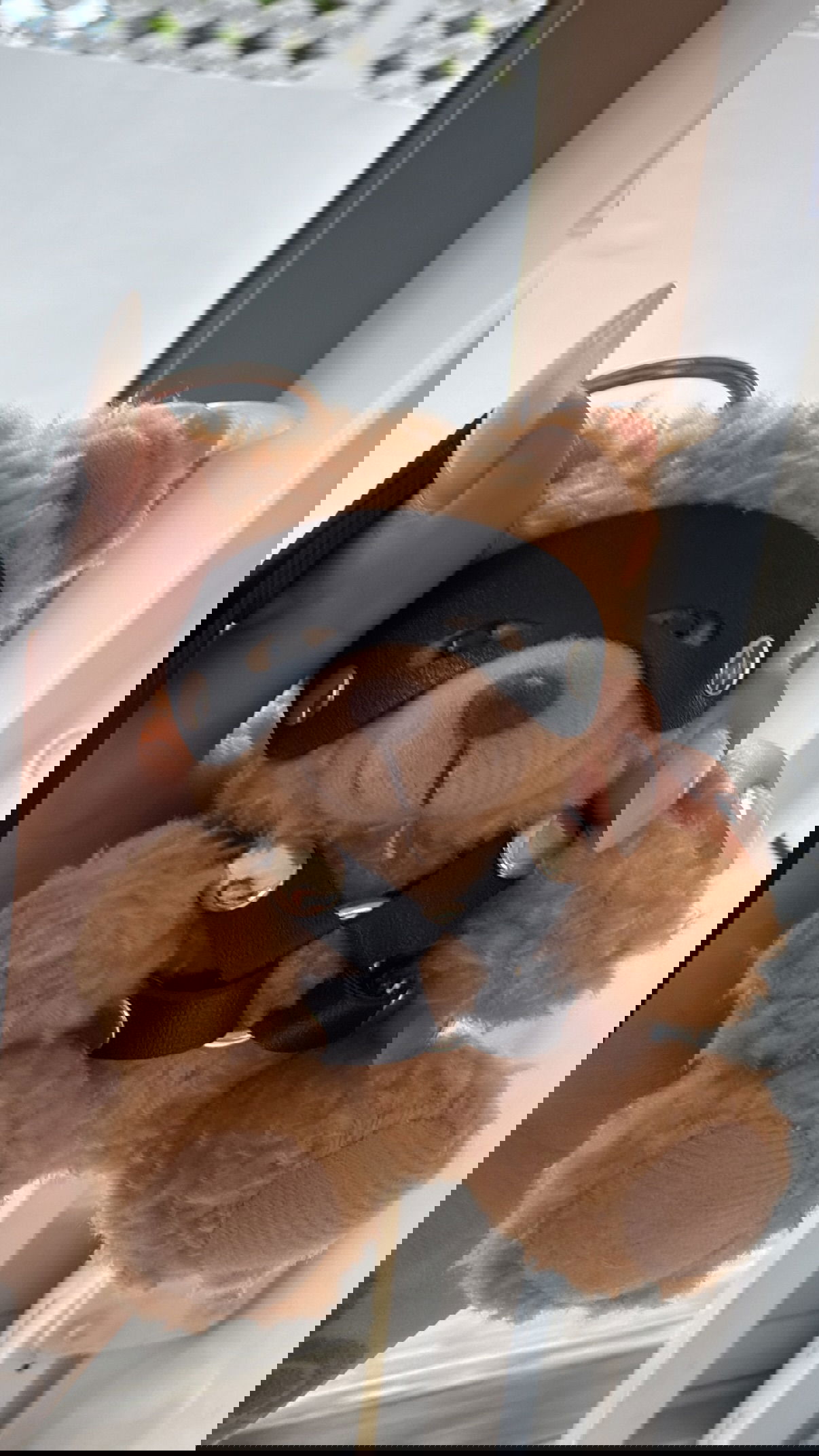 kesemgreenyer instagram image archive image