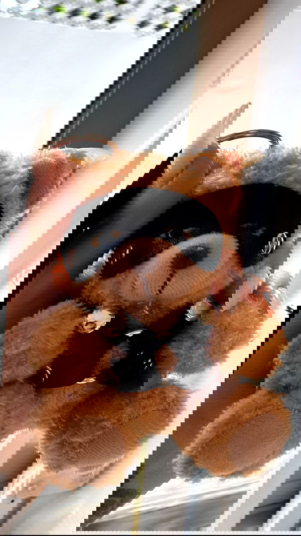 kesemgreenyer image ~ Altpins