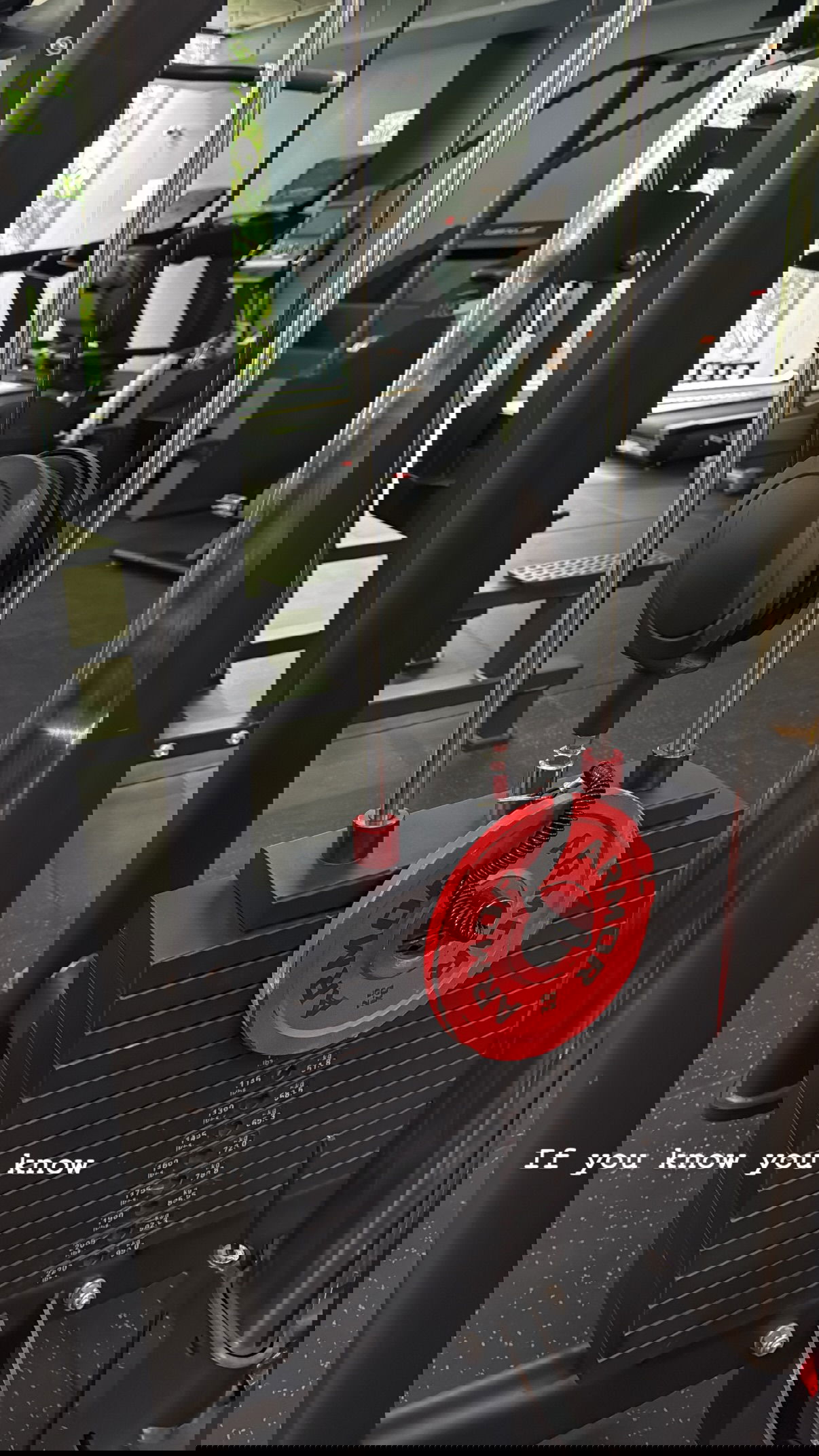 kesemgreenyer instagram image archive image