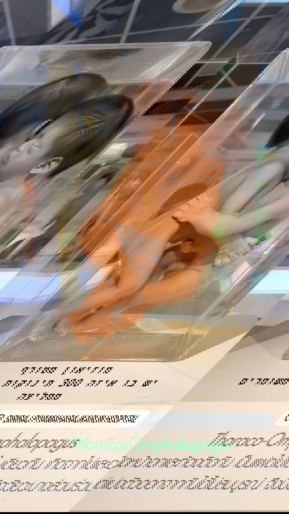 kesemgreenyer instagram image archive image