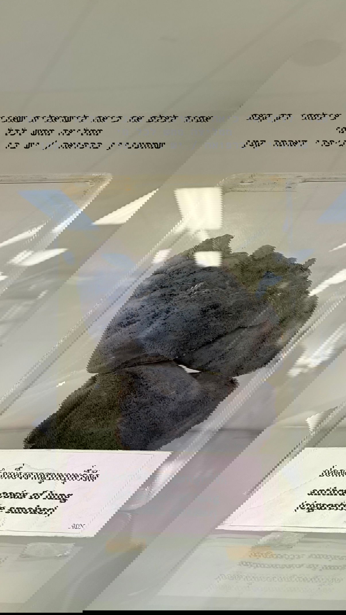 kesemgreenyer instagram image archive image