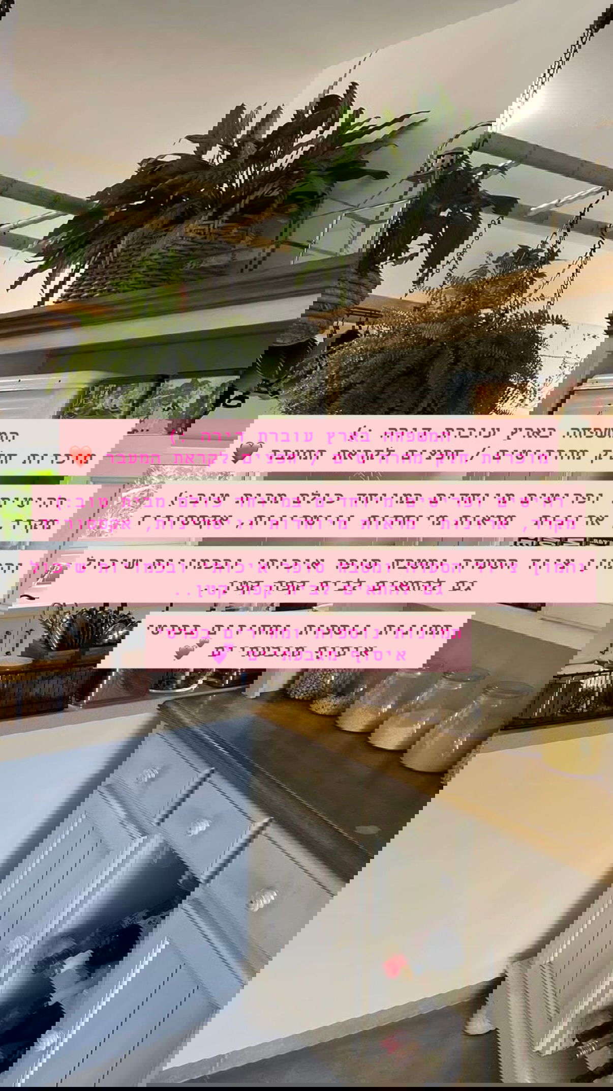 kesemgreenyer instagram image archive image