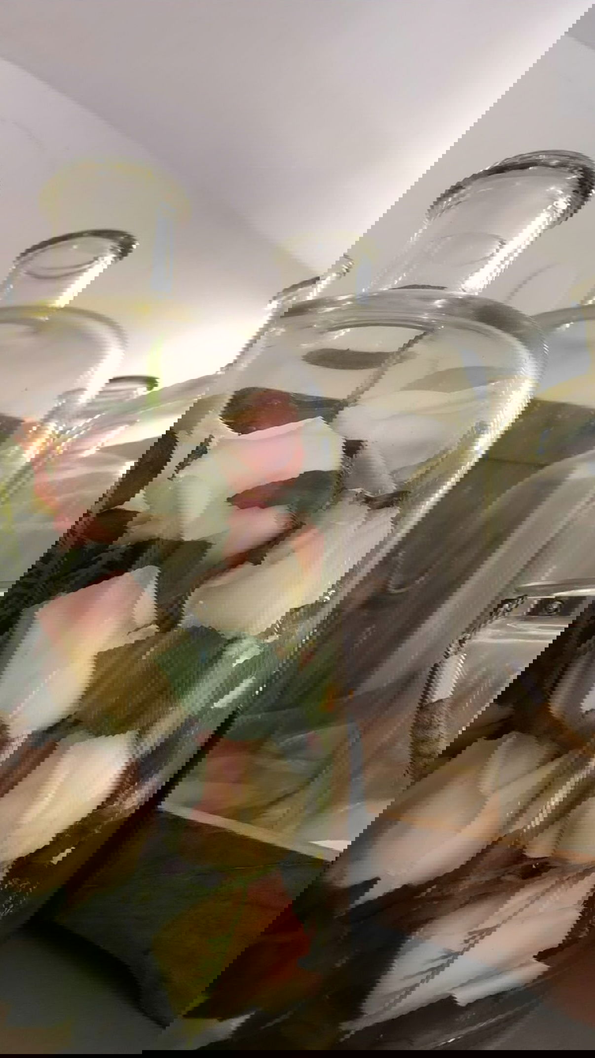 kesemgreenyer instagram image archive image