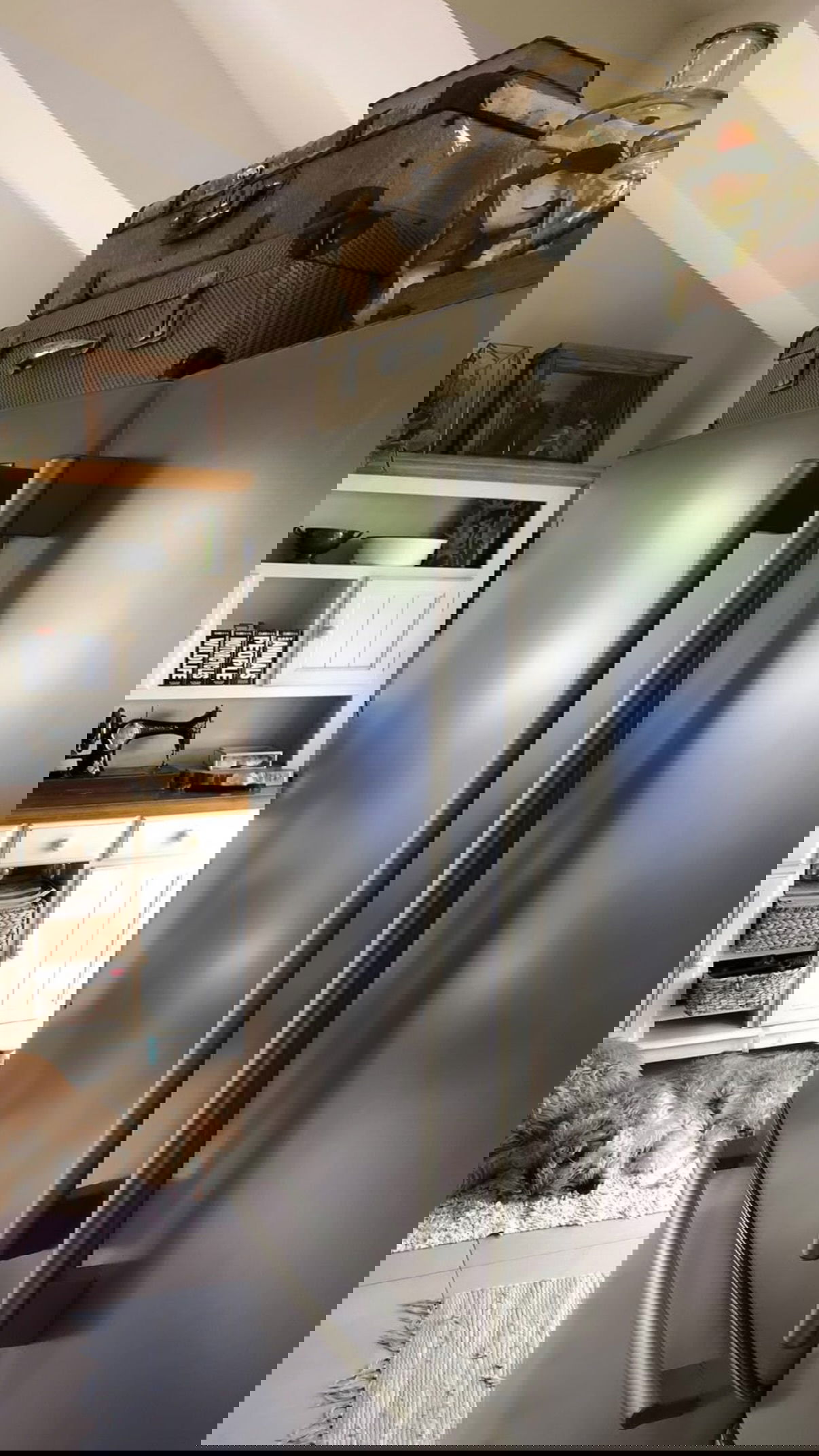 kesemgreenyer instagram image archive image