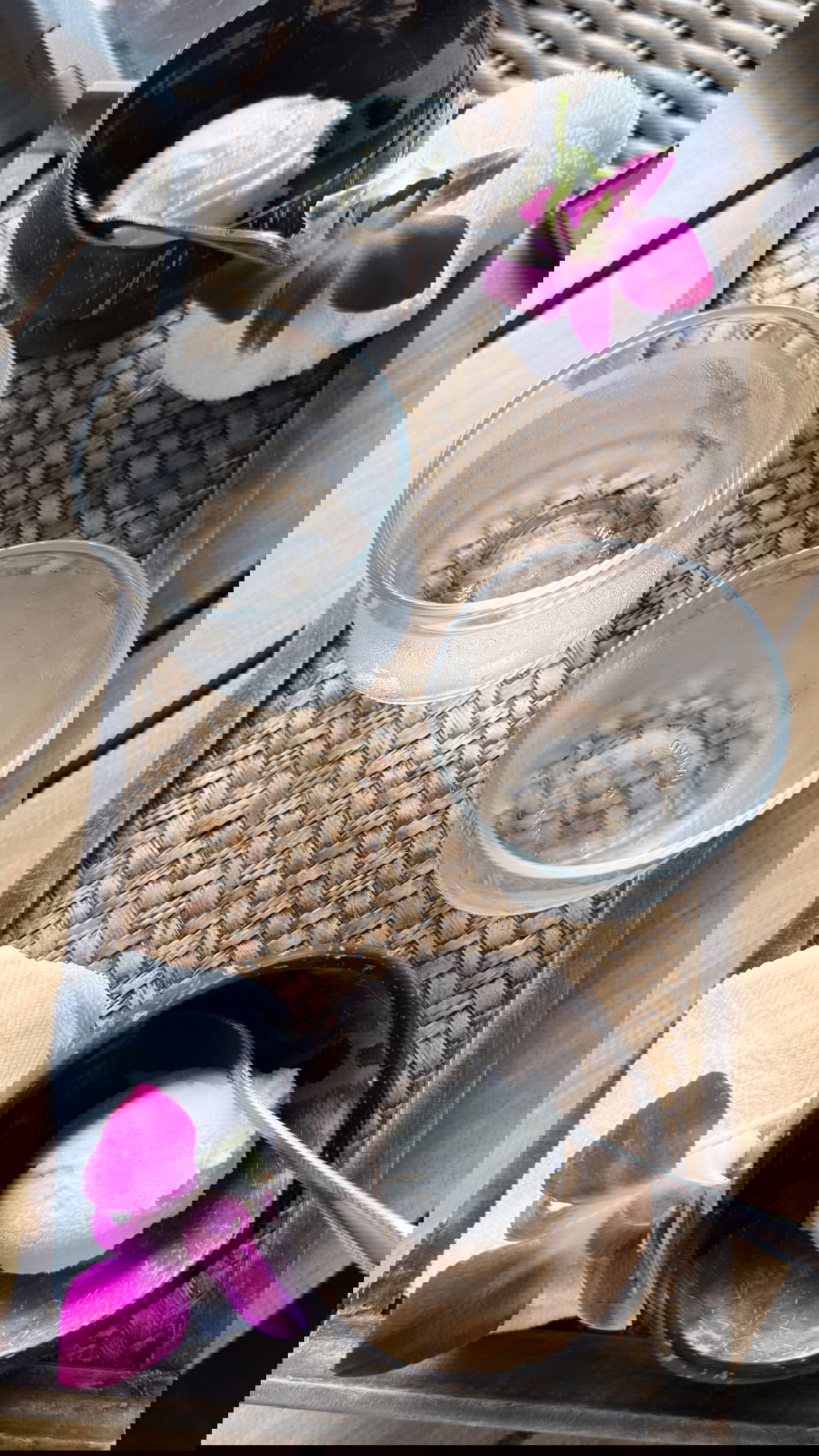 kesemgreenyer instagram image archive image