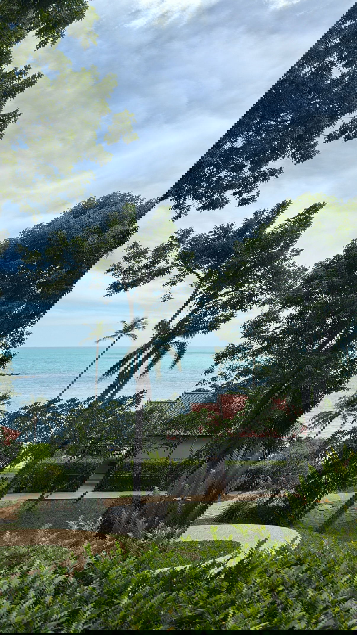 kesemgreenyer instagram image archive image