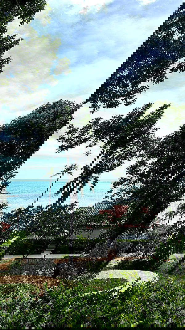 kesemgreenyer image ~ Altpins