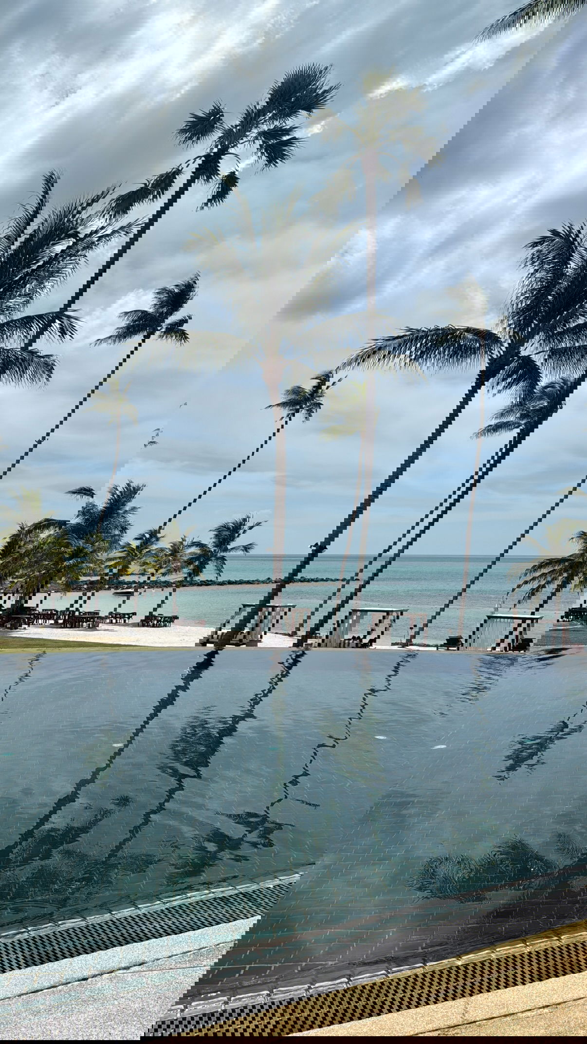 kesemgreenyer instagram image archive image