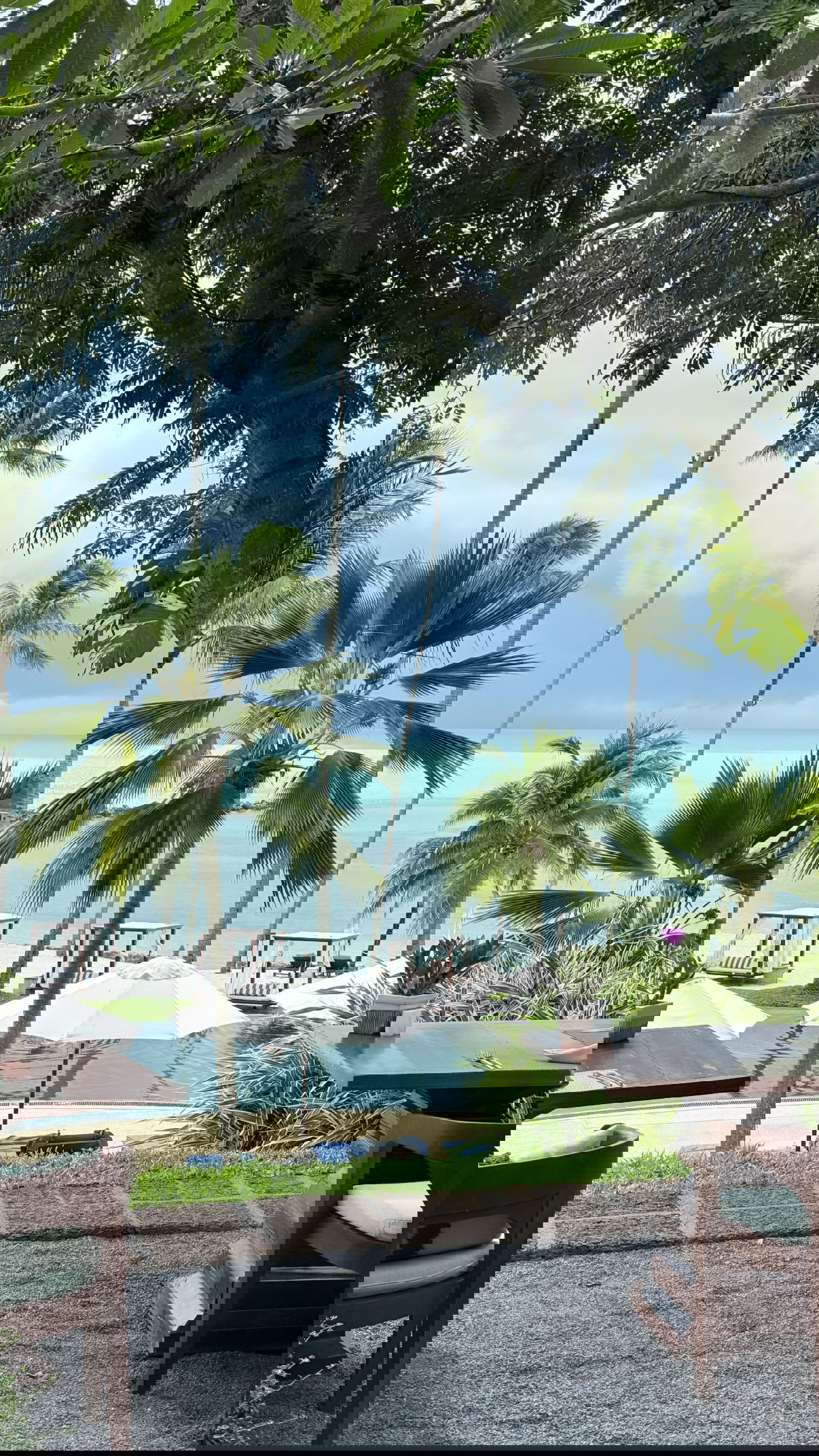 kesemgreenyer instagram image archive image