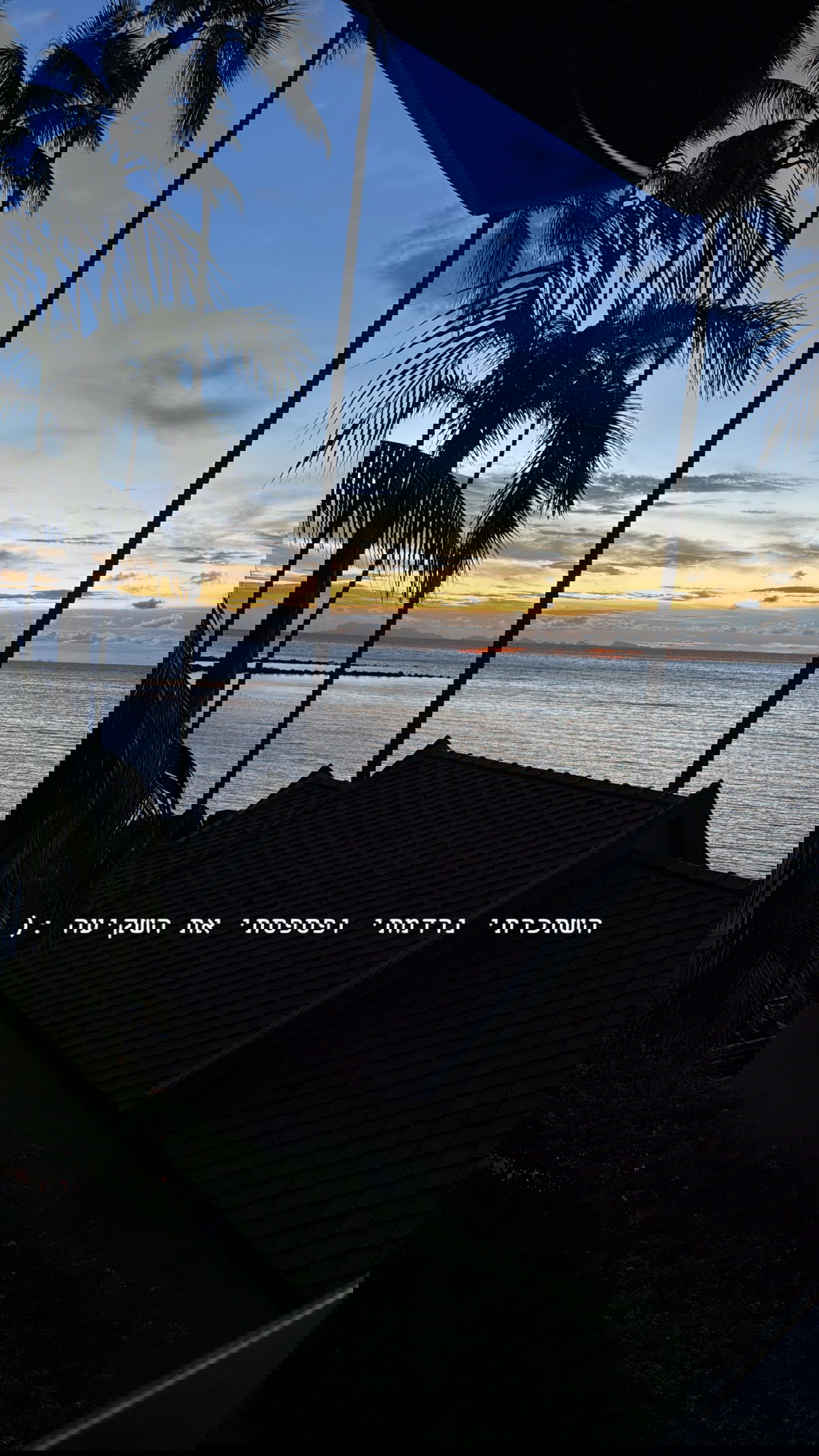 kesemgreenyer instagram image archive image