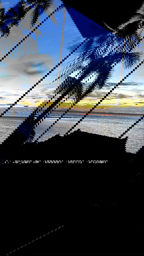 kesemgreenyer image ~ Altpins