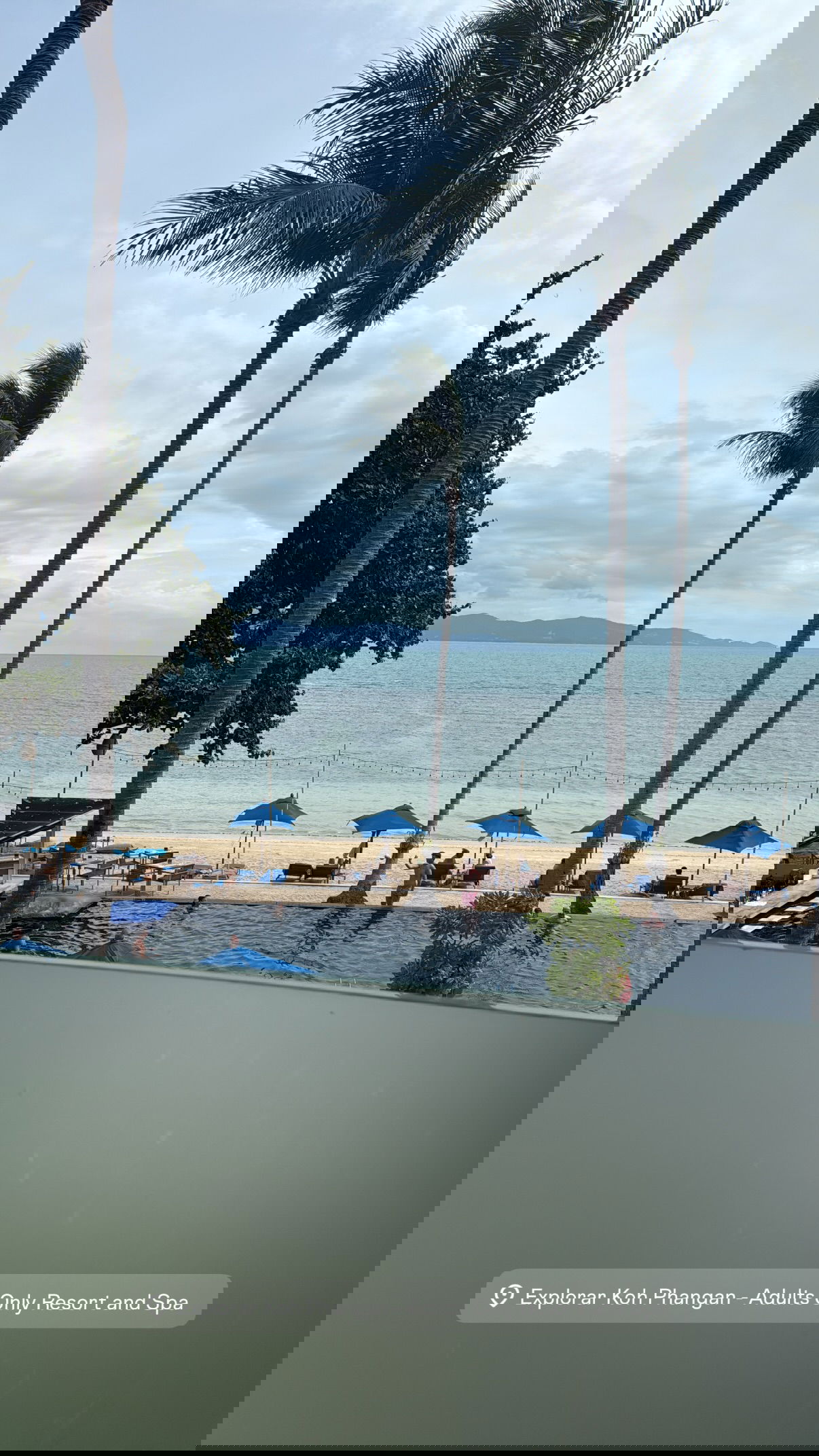 kesemgreenyer instagram image archive image