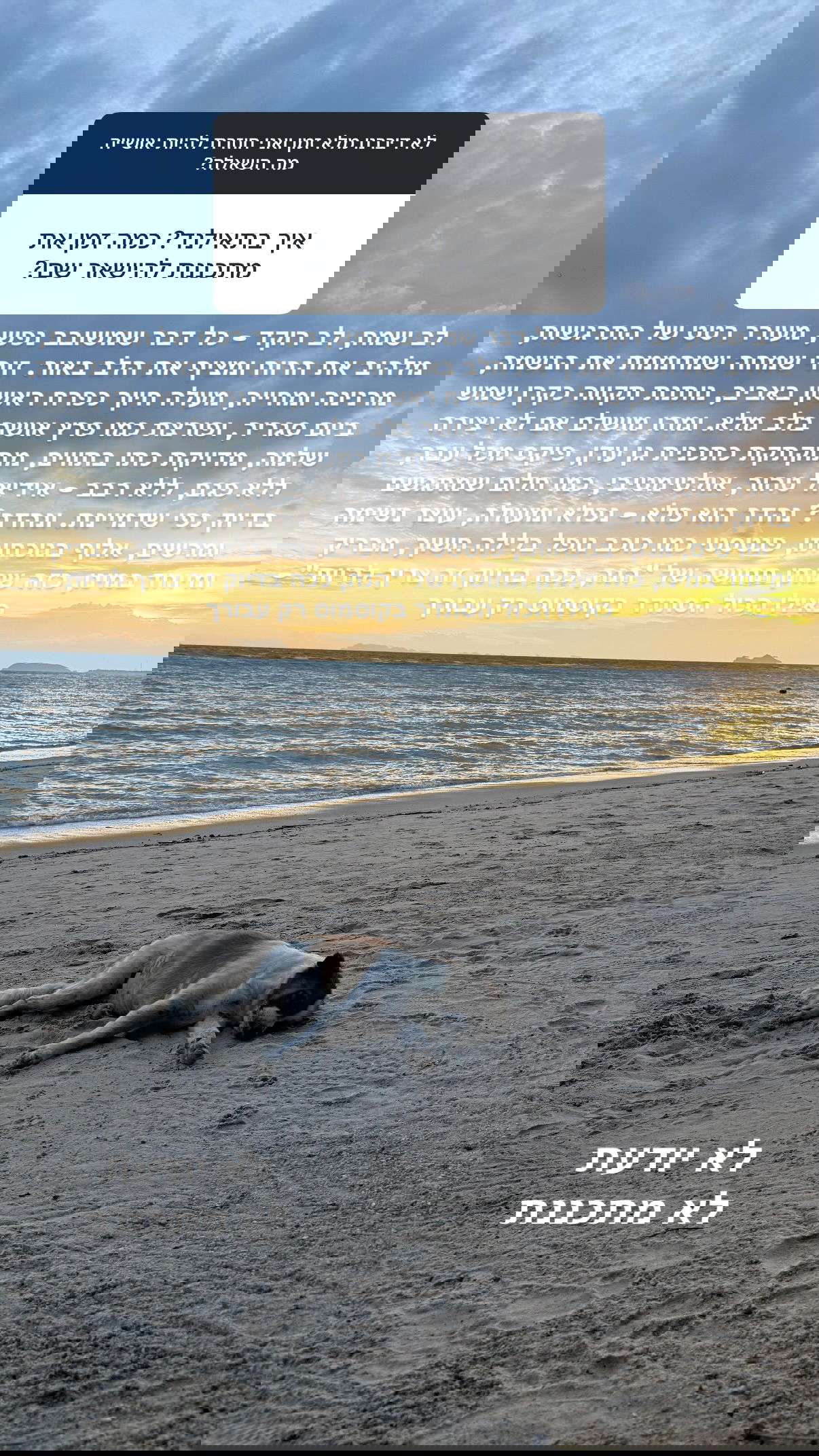 kesemgreenyer instagram image archive image