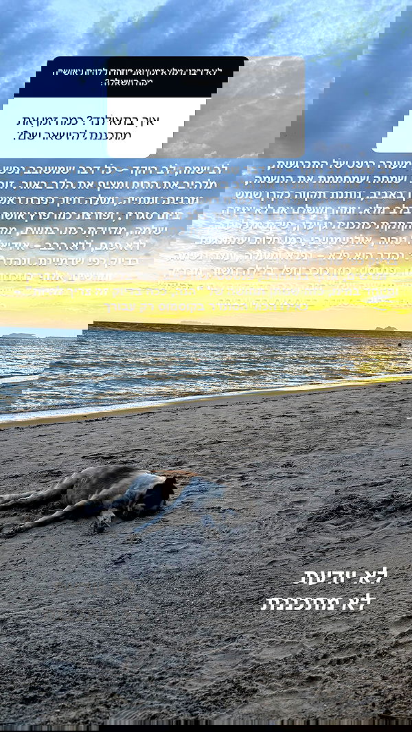 kesemgreenyer image ~ Altpins