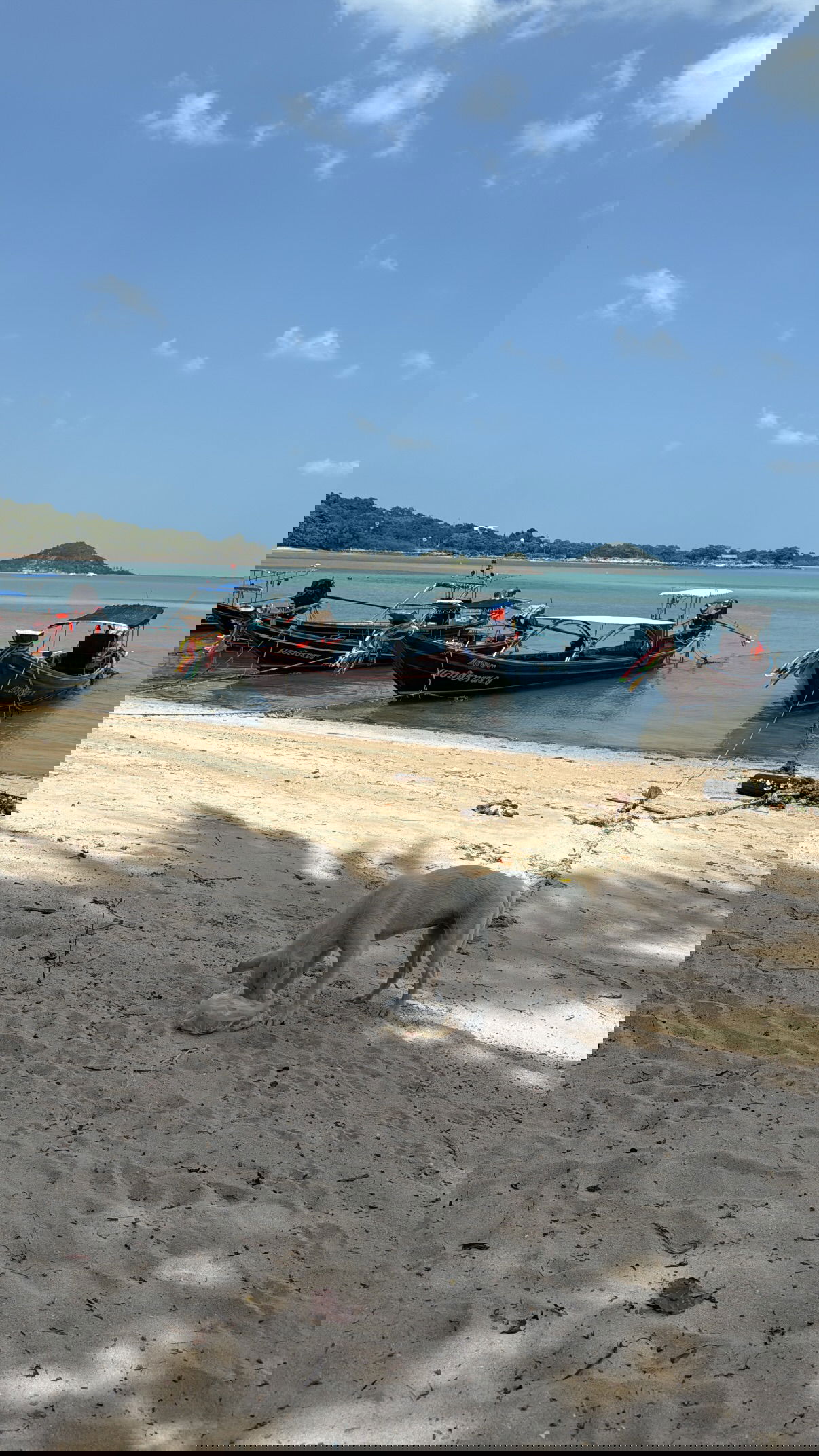 kesemgreenyer instagram image archive image