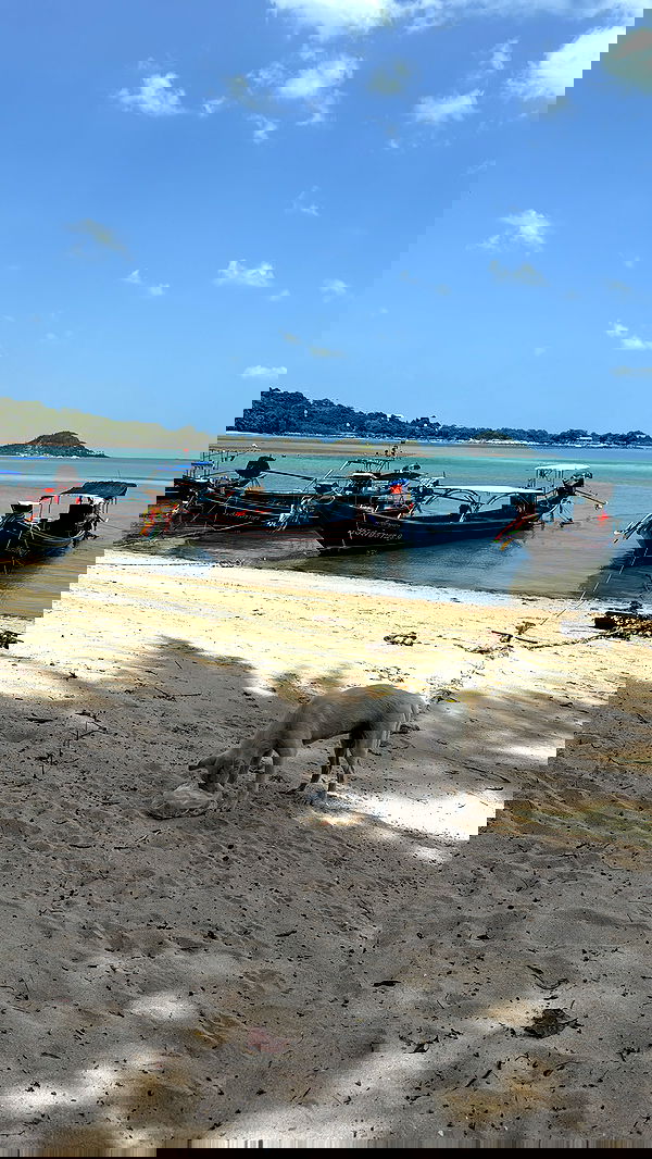 kesemgreenyer image ~ Altpins