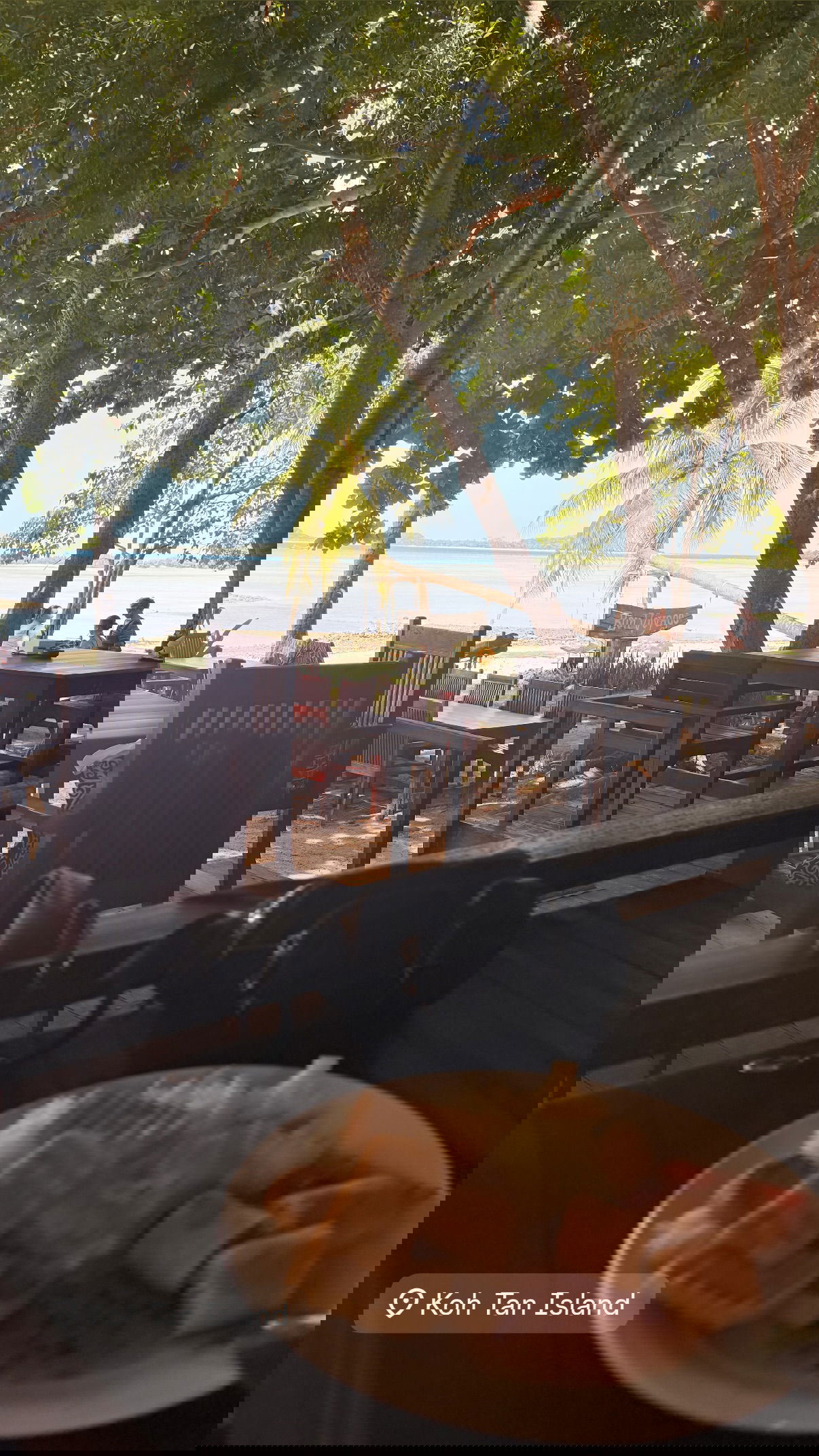 kesemgreenyer instagram image archive image