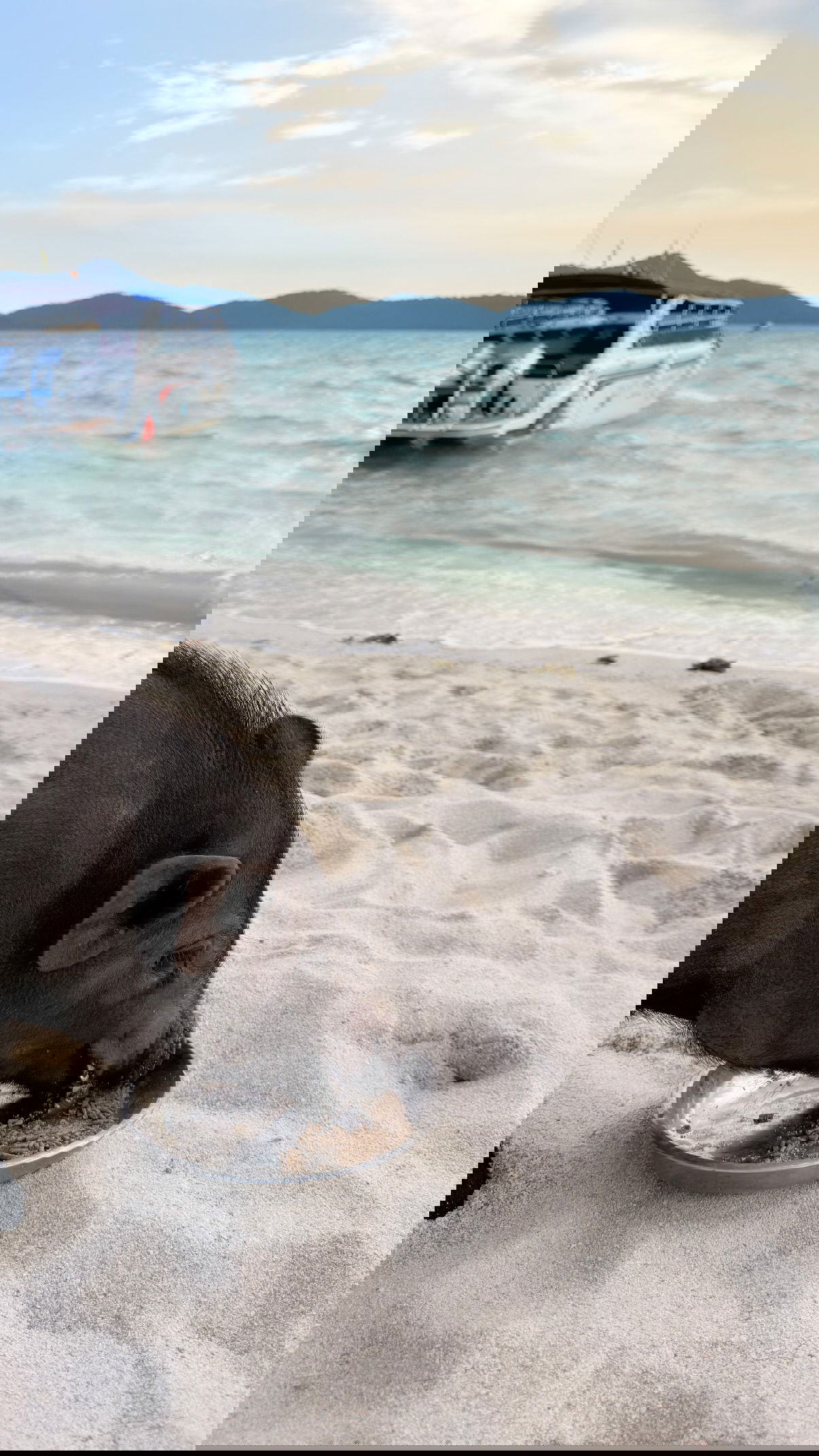 kesemgreenyer instagram image archive image