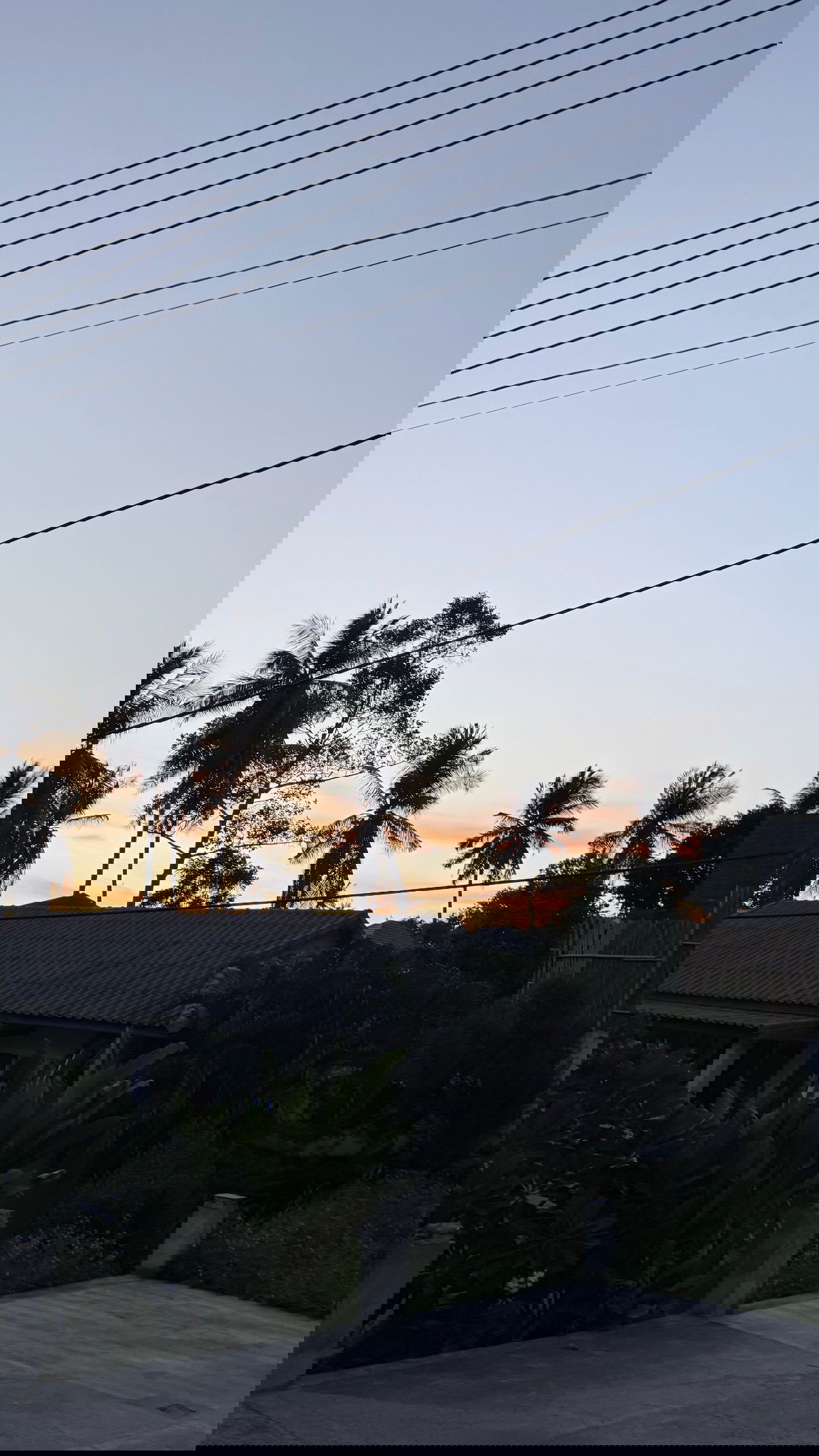 kesemgreenyer instagram image archive image