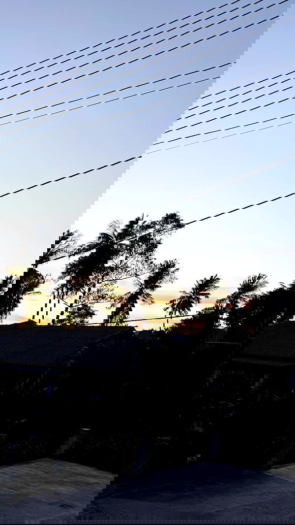 kesemgreenyer image ~ Altpins