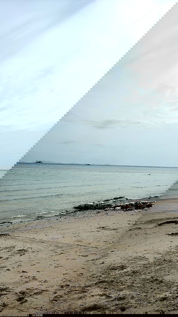 kesemgreenyer image ~ Altpins