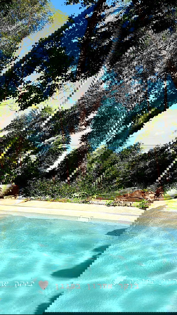 kesemgreenyer image ~ Altpins