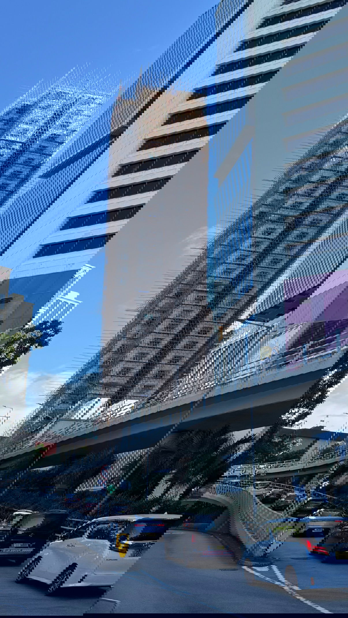 kesemgreenyer instagram image archive image