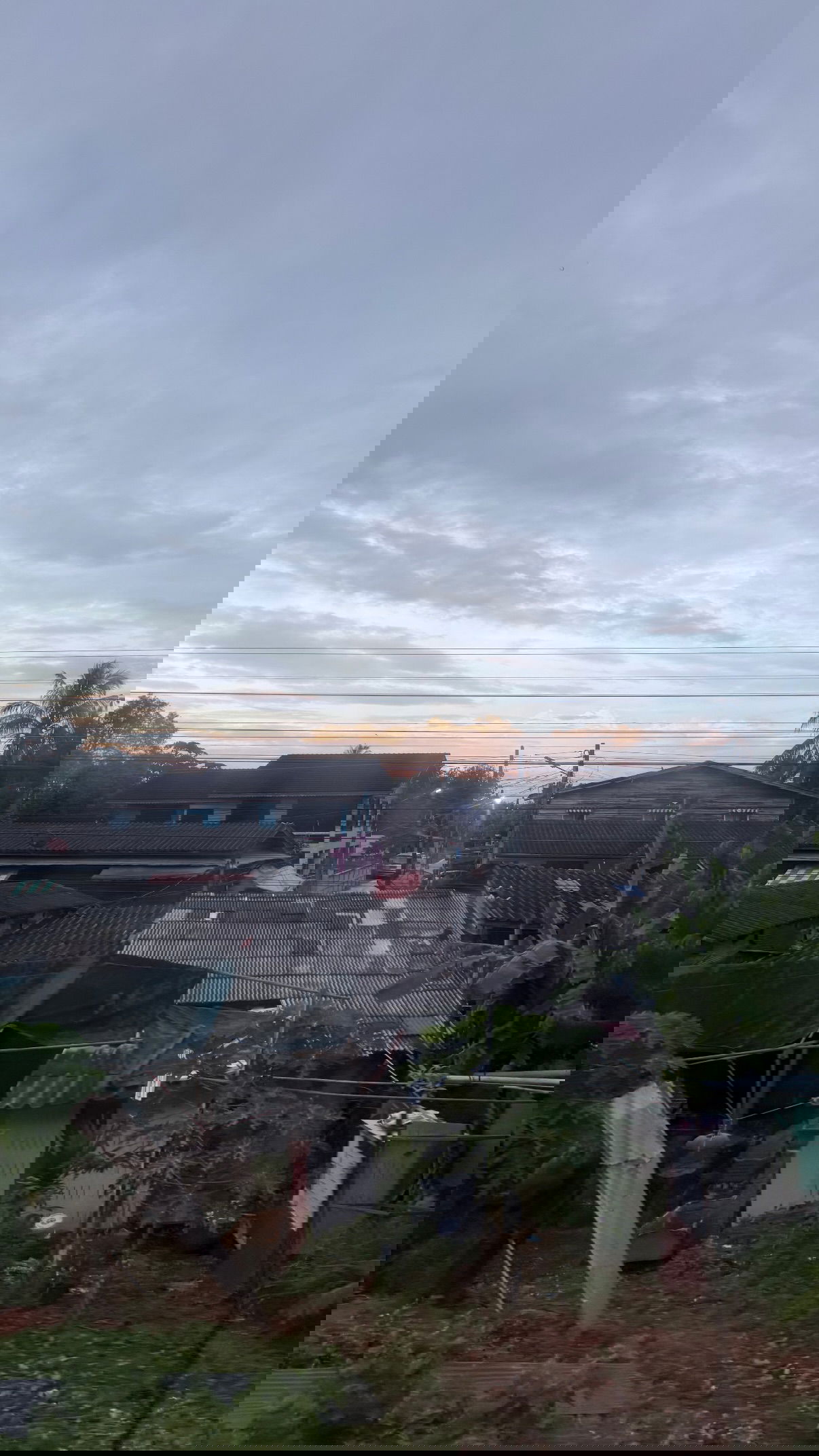 kesemgreenyer instagram image archive image