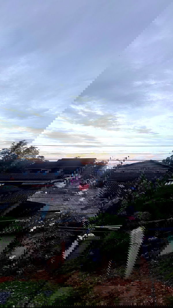 kesemgreenyer image ~ Altpins