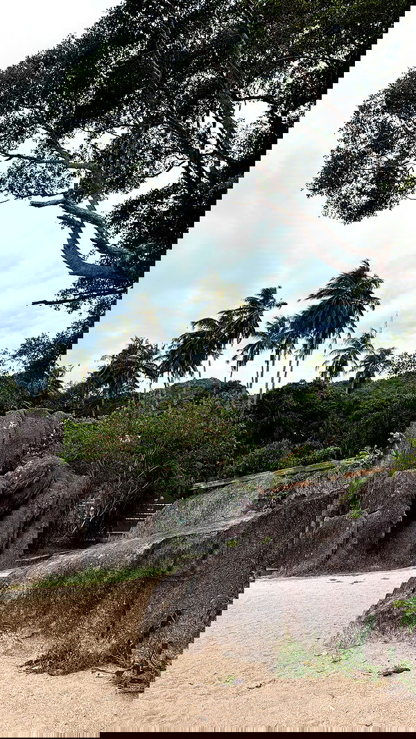 kesemgreenyer image ~ Altpins