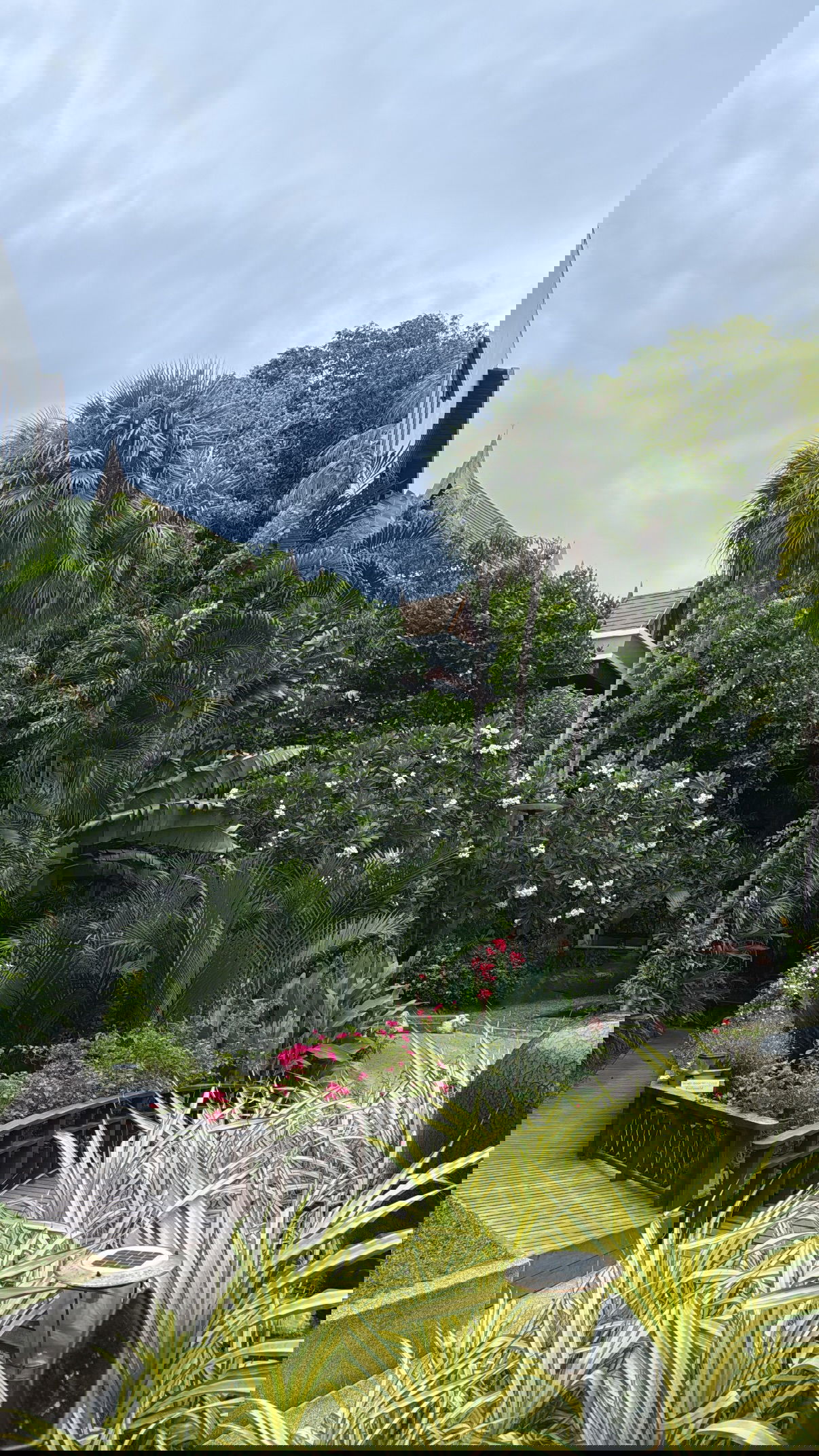 kesemgreenyer instagram image archive image