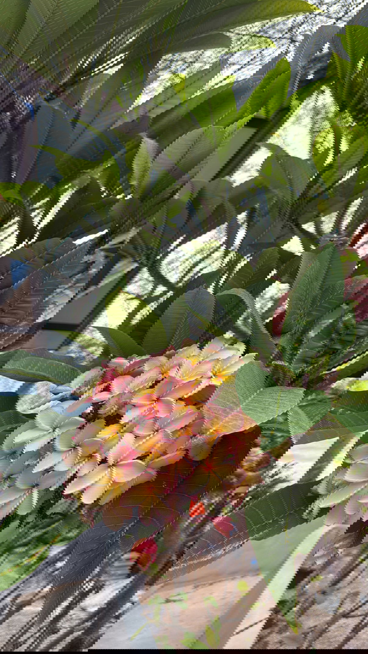 kesemgreenyer instagram image archive image