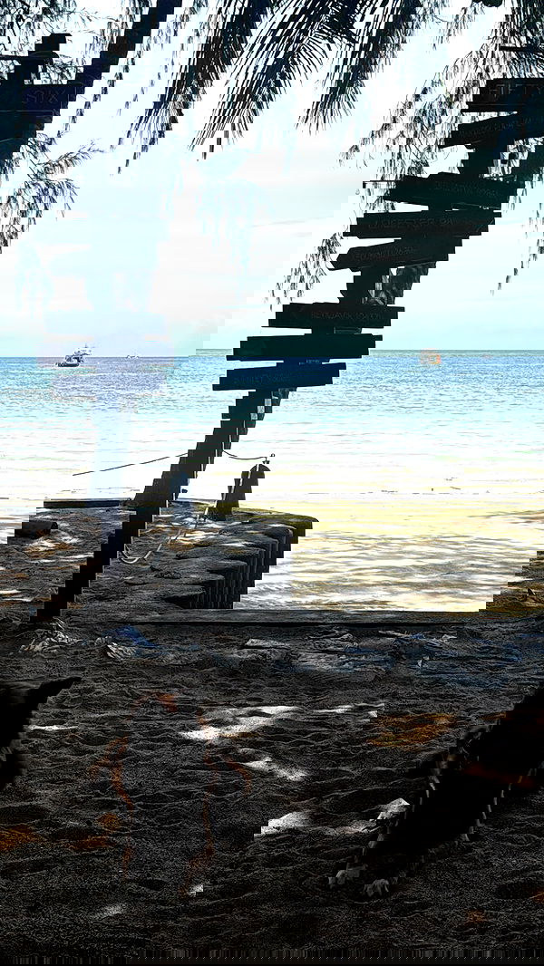 kesemgreenyer image ~ Altpins