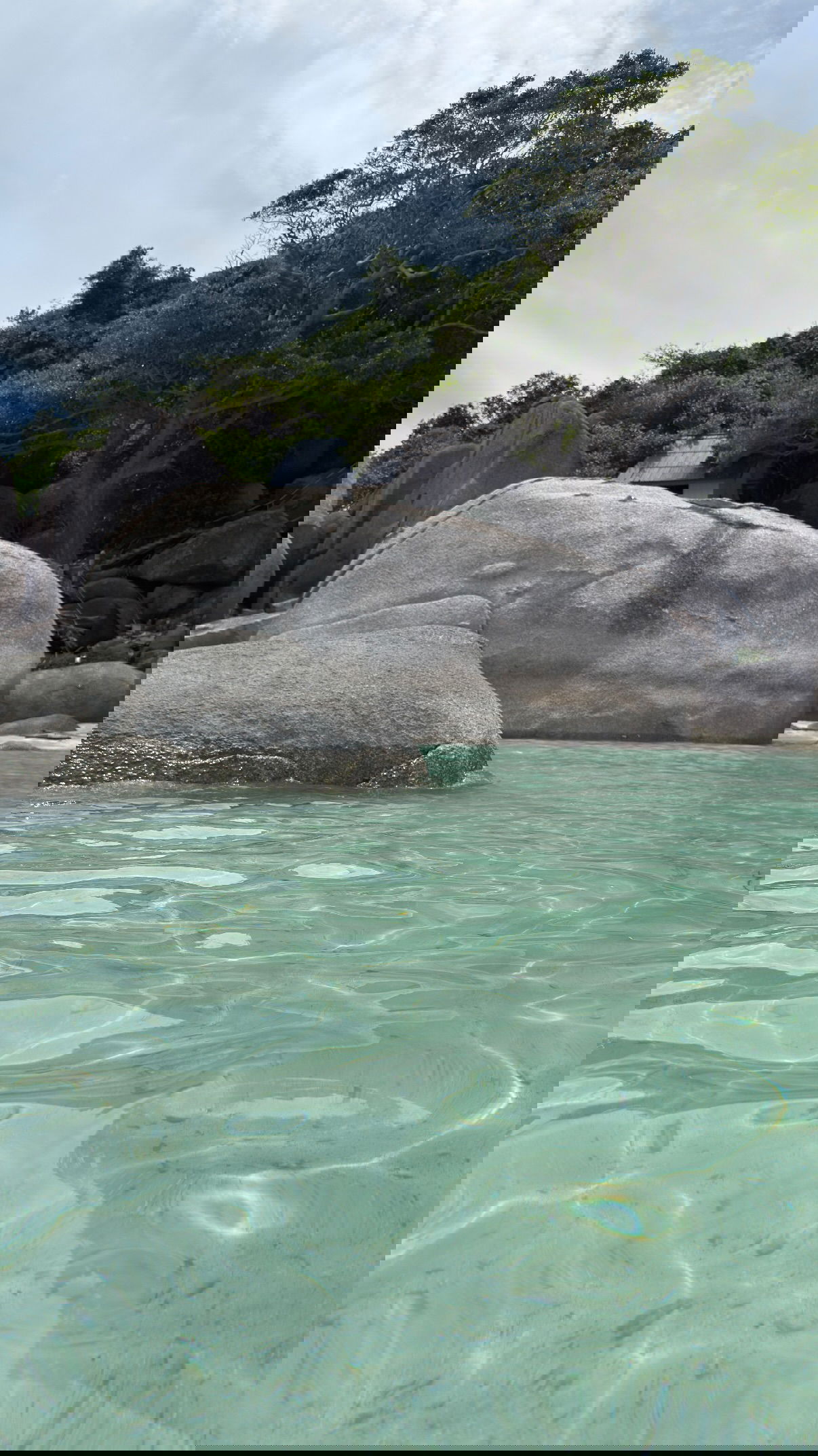 kesemgreenyer instagram image archive image