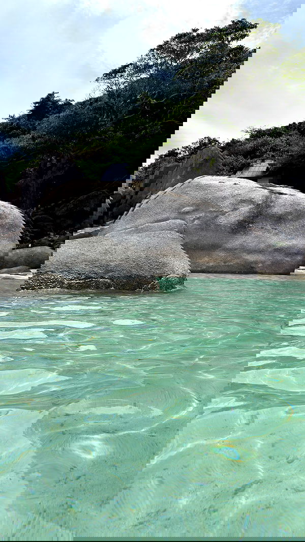 kesemgreenyer image ~ Altpins