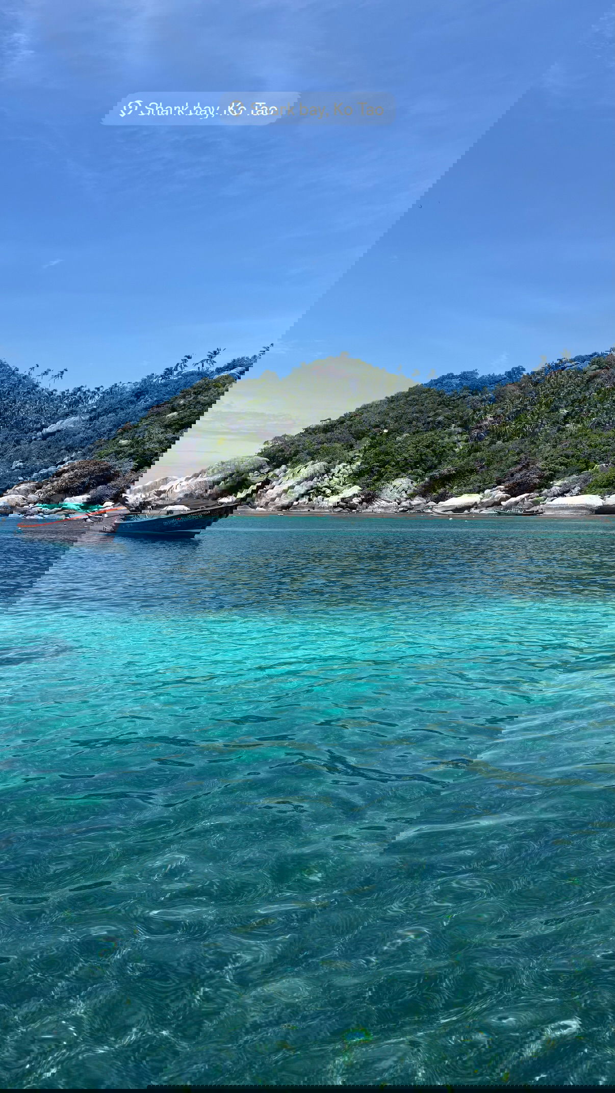 kesemgreenyer instagram image archive image