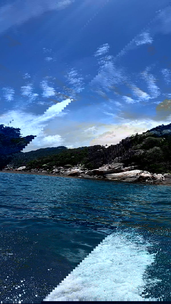 kesemgreenyer image ~ Altpins