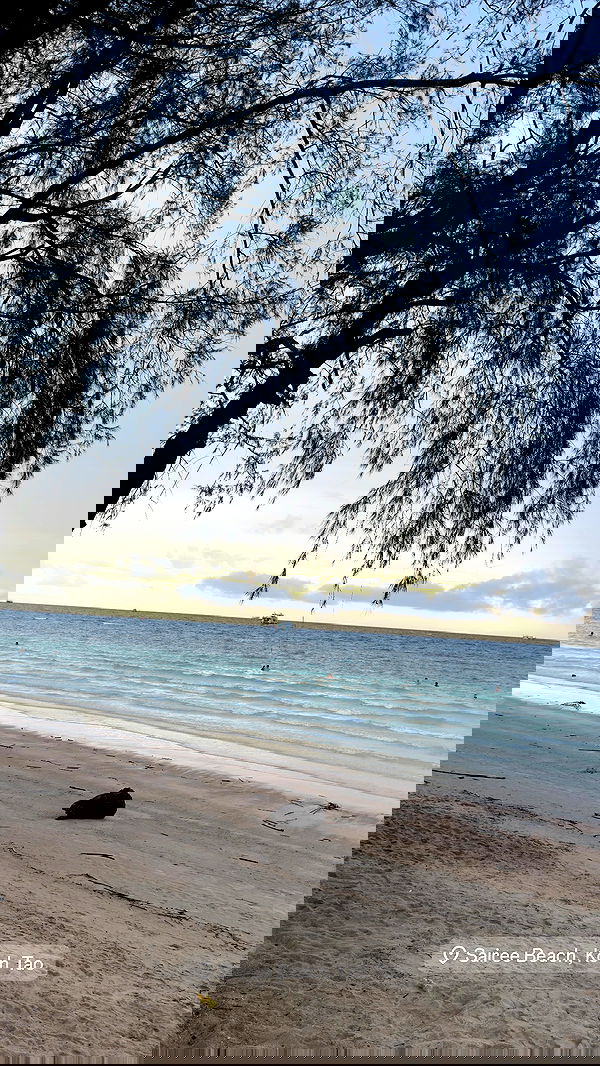 kesemgreenyer image ~ Altpins