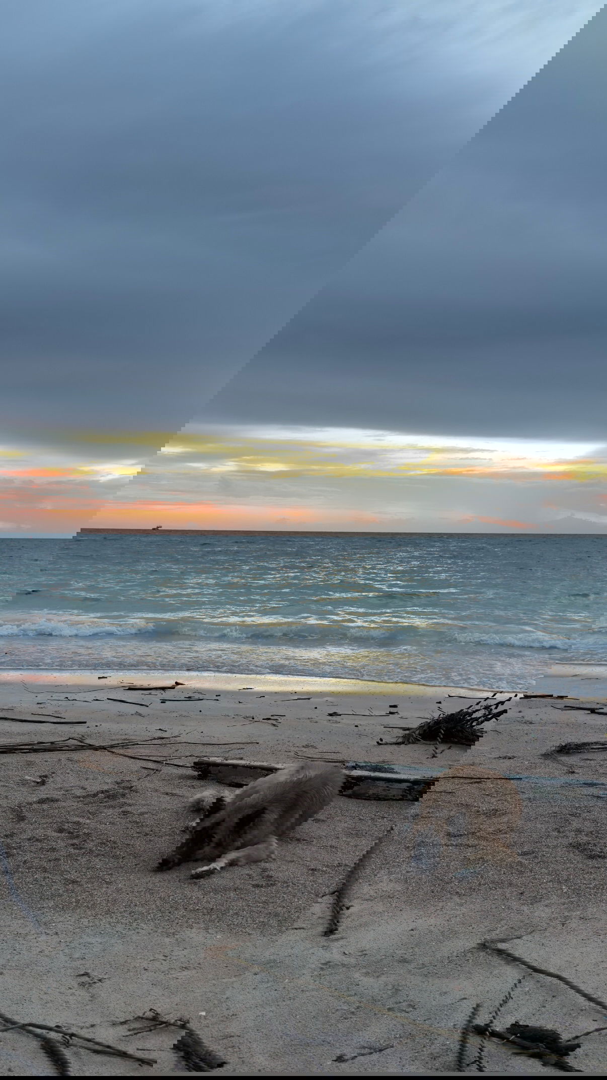 kesemgreenyer instagram image archive image