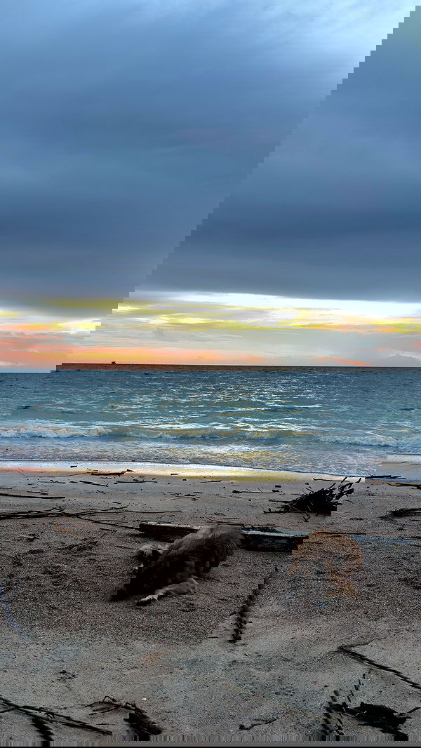 kesemgreenyer image ~ Altpins