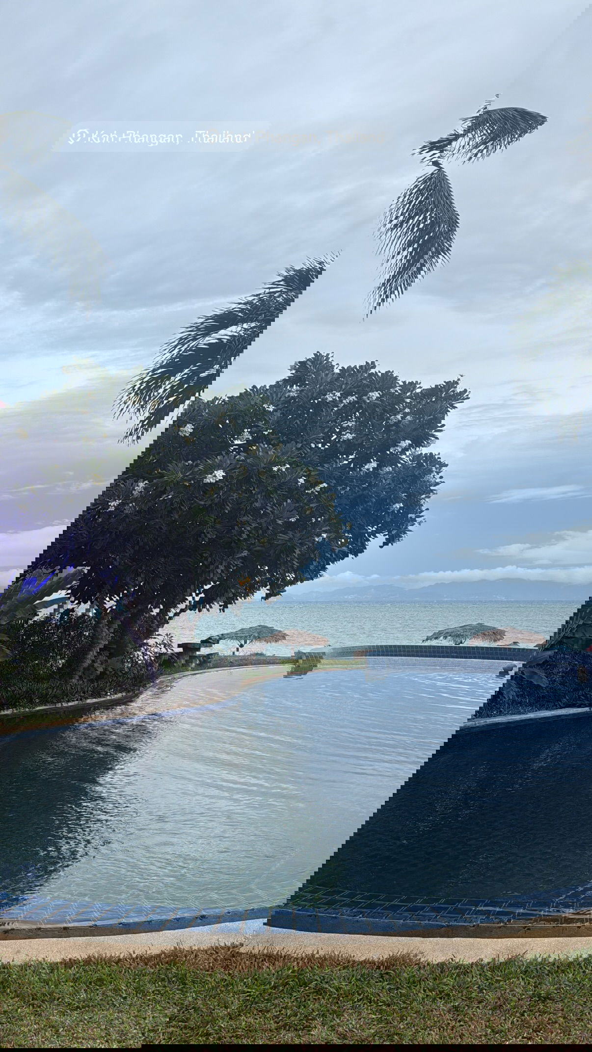 kesemgreenyer instagram image archive image