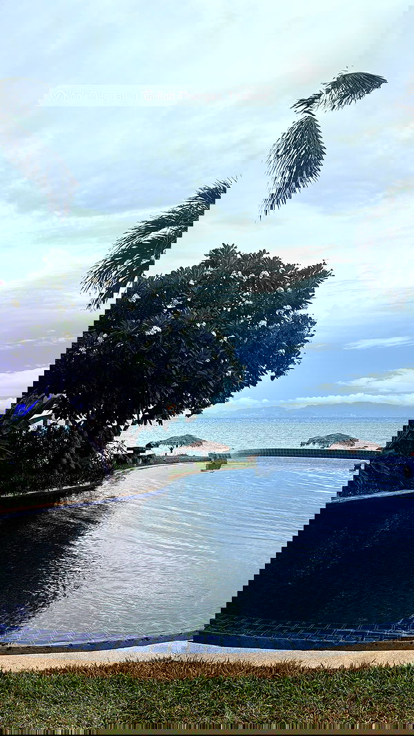 kesemgreenyer image ~ Altpins